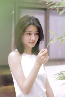 小说章节